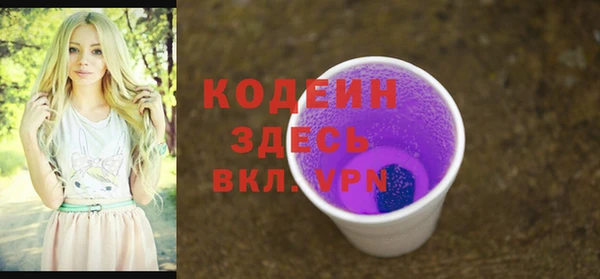 ECSTASY Няндома