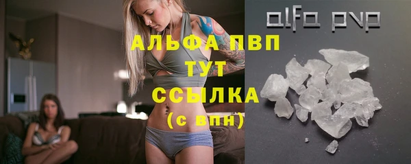 ПСИЛОЦИБИНОВЫЕ ГРИБЫ Осинники