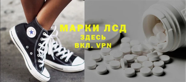 ПСИЛОЦИБИНОВЫЕ ГРИБЫ Осинники