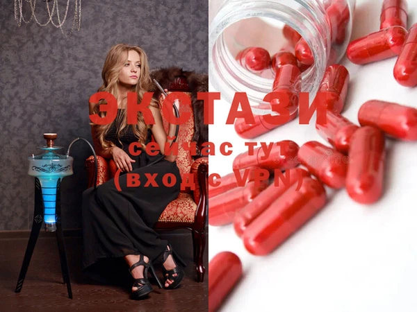 ECSTASY Няндома