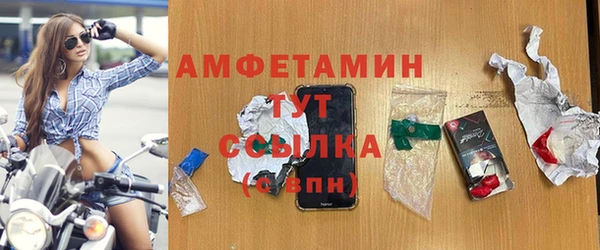 ПСИЛОЦИБИНОВЫЕ ГРИБЫ Осинники