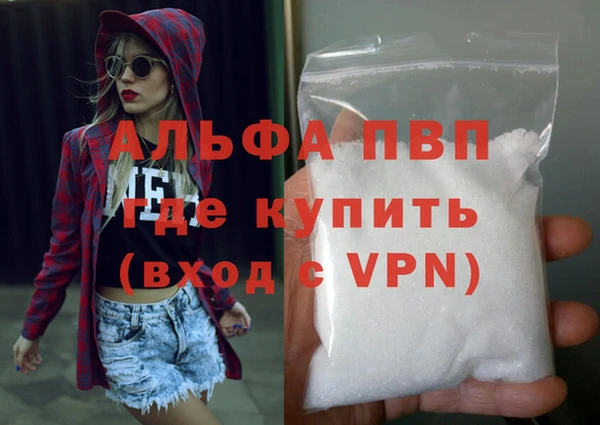 ПСИЛОЦИБИНОВЫЕ ГРИБЫ Осинники